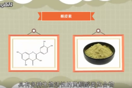 槲皮素：具有多種生物活性<em>的</em>黃酮醇類化合物