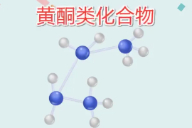 一分鐘了解<em>黃酮</em>類<em>化合物</em>