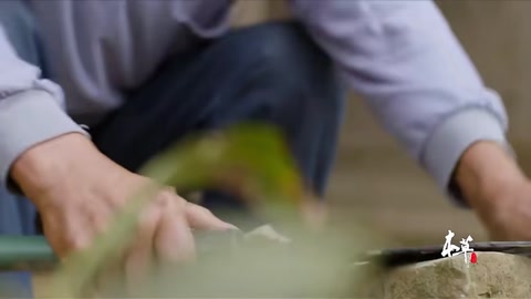 中藥本草青蒿素對世界人類的貢獻