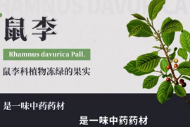 弘<em>揚中醫(yī)藥</em><em>文化</em>,<em>傳播</em><em>中醫(yī)藥</em><em>知識</em>：<em>中華</em><em>本草</em>-鼠李