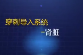 <em>經</em>皮穿刺腎造瘺