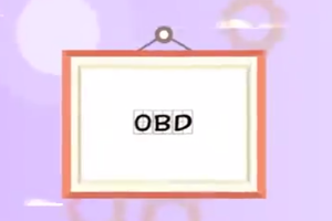 OBD：車載自動(dòng)診斷系統(tǒng)