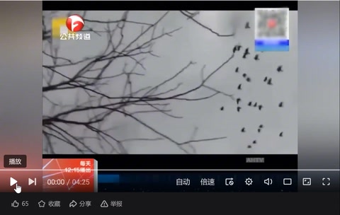 <em>授課</em>視頻—疫情下的愛情：隔空<em>不</em>隔愛