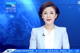 智能網聯汽車上的“透視眼”