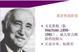 什么是韋氏智力測驗