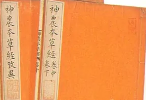 帶你了解《神農本草經》