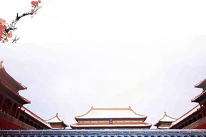 國慶話國車，紅旗精彩<em>知多少</em>？