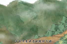 <em>黃</em><em>文秀</em>生前<em>的</em>心愿實現了