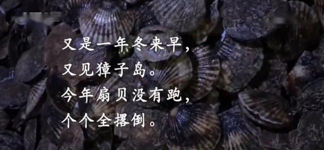 <em>項目</em><em>四</em><em>存貨</em>----<em>存貨</em><em>期末</em><em>計量</em>（<em>獐子</em><em>島</em><em>違規</em><em>案例</em>，<em>合法經營</em><em>重要性</em>）-<em>圖片</em>4