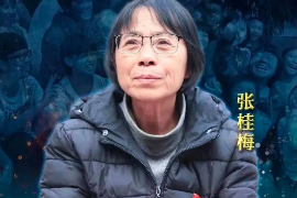 2020年感動中國十大人物—<em>張</em><em>桂</em><em>梅</em>