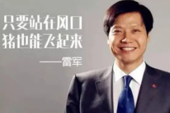 IT精英—雷軍