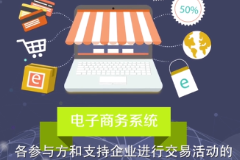 電子商務(wù)系統(tǒng)—商業(yè)智能的計算機網(wǎng)絡(luò)系統(tǒng)