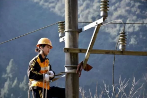 授課圖片—女<em>電力</em><em>線路工</em> (2)