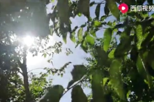 鐵路供電人——高鐵供電的‘幕后<em>英雄</em>’