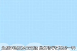 <em>孟德爾</em>豌豆雜交實驗