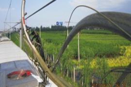 <em>受電</em><em>弓</em>掛異物2