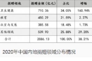 2020年中國(guó)內(nèi)地捐贈(zèng)領(lǐng)域分布情況