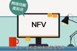 帶您了解<em>網絡</em>功能虛擬化