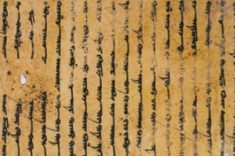 戲劇文學(xué)—彌勒會(huì)見(jiàn)記