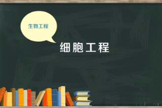 一分鐘了解細胞工程