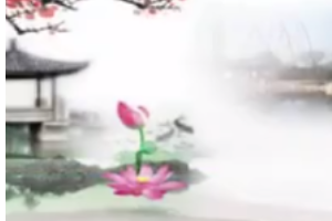 <em>微</em><em>課</em>：<em>戲曲</em><em>表演</em><em>專業(yè)</em>《紹興地方戲—紹興平湖調(diào)<em>表演</em><em>藝術(shù)</em>》