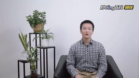 網(wǎng)絡(luò)爬蟲(chóng)：搜索引擎背后的神秘“蜘蛛俠”