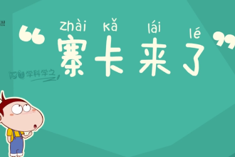 帶你了解塞<em>卡</em><em>病毒</em><em>是什么</em>