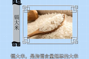 鎘大米—鎘含量超標的大米