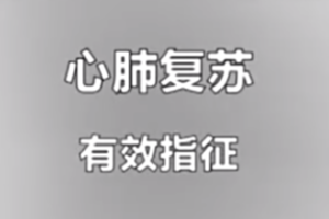 紅十字救護員培訓(xùn)課程：<em>心肺</em><em>復(fù)蘇</em>-有效指征