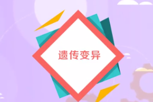 生物學術語—<em>遺傳</em>變異