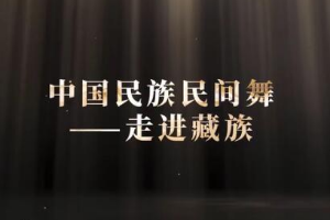 <em>微</em><em>課</em>：早期教育、學前教育<em>專業</em>《舞蹈基礎—走進<em>藏族</em><em>民間舞</em><em>之</em>顫膝》