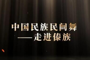 微課：早期教育、學(xué)前教育專業(yè)《舞蹈基礎(chǔ)—走進(jìn)傣族民間舞之三道彎》