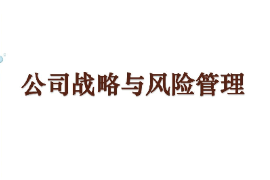 課件：工商管理專業《公司戰略與風險管理》