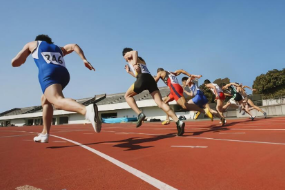 <em>運動</em><em>訓練</em>—<em>田徑</em>（<em>圖</em>2）