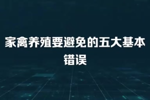 <em>家禽</em>養(yǎng)殖要避免<em>的</em>五大基本錯誤