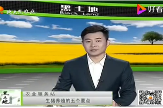 想要豬長膘快，<em>生豬</em>育肥<em>的</em><em>這</em>五個技術<em>要點</em>要記牢了