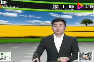 懷孕母豬的<em>飼養</em><em>管理</em>