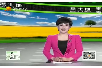 母豬妊娠期的<em>飼養</em><em>和</em><em>管理</em>方法