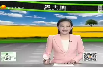 哺乳仔豬怎么養？農業服務站為您帶來飼養哺乳仔豬的技術要點