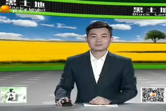 生豬養殖<em>需要</em><em>注意</em>的要點都有<em>哪些</em>？這幾個方面很重要