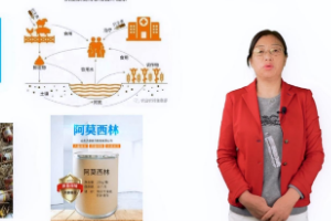 <em>微</em><em>課</em>：畜牧獸醫專業《<em>動物</em>環境衛生—飼料污染<em>與</em>控制》