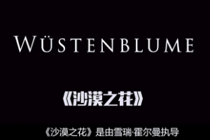《沙漠之花》走出沙漠的<em>鏗鏘</em><em>玫瑰</em>