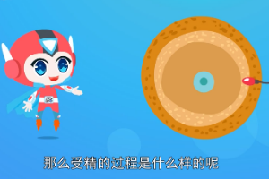 受精過程