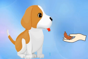 動物生理—<em>條件</em>反射的形成