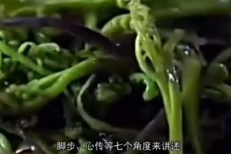 一分鐘了解舌尖上的<em>中國</em>第二季