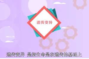 生物學術語—遺傳變異