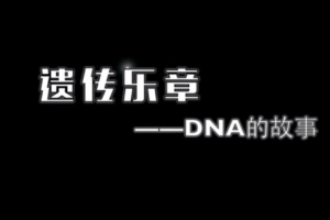 遺傳樂章—DNA的故事