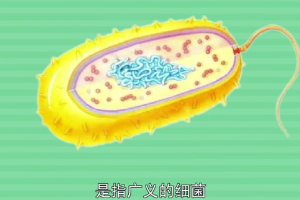 帶您了解<em>原</em><em>核</em><em>生物</em>