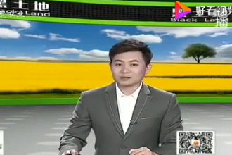 養豬寶典：后備<em>母豬</em><em>的</em><em>飼養</em>管理