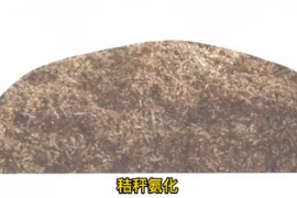 秸稈氨化